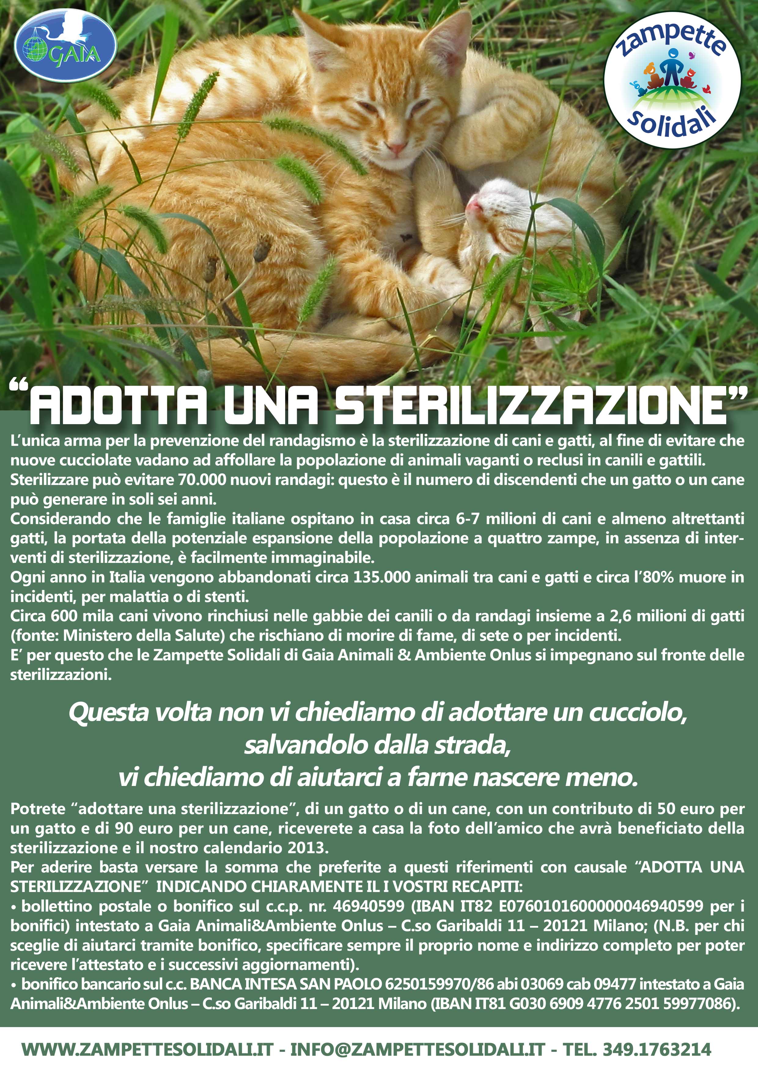 adotta_sterilizzazione