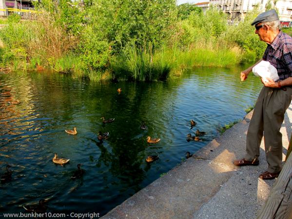 animali_in_darsena_naviglio_milano_fotografo_riboli_4_