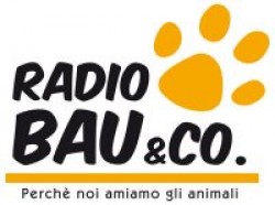 radiobau